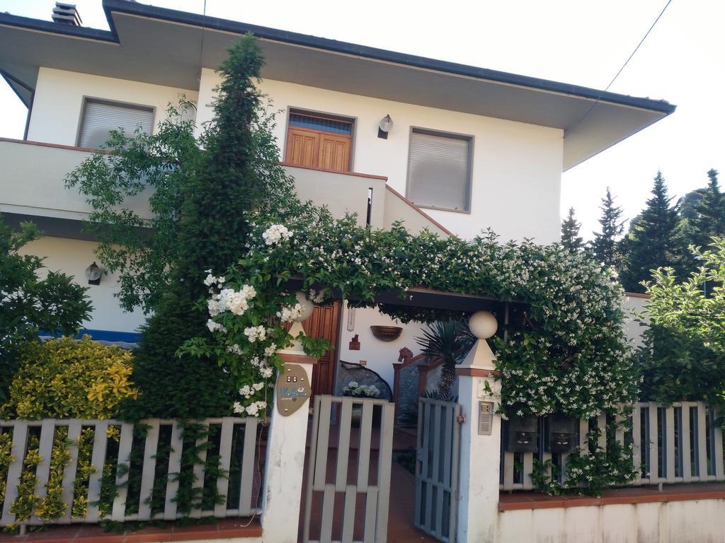 Villa Marina Laterina Exteriör bild